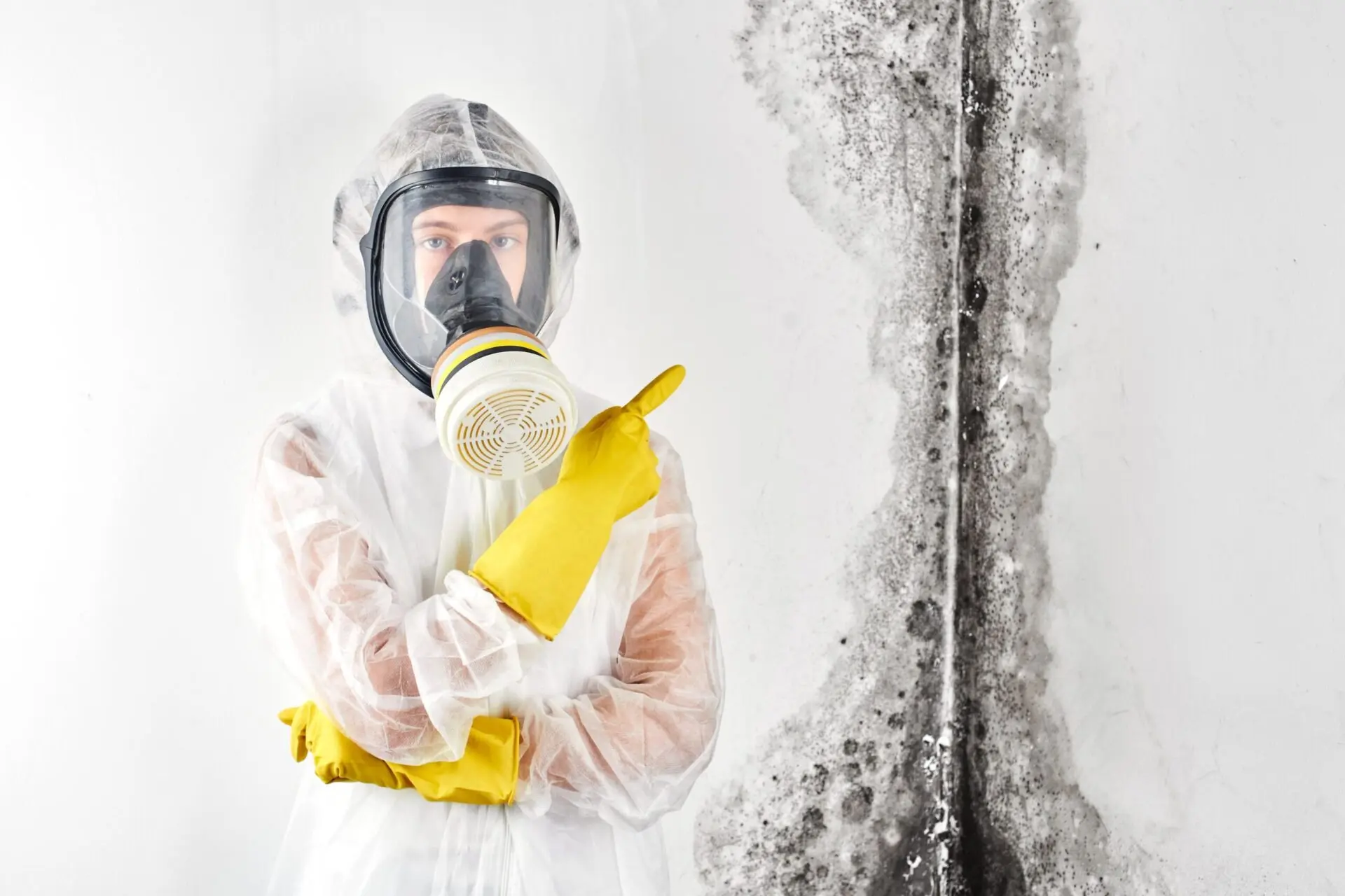 Mould solutions gold coast 